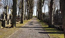 Amiens verdit son cimetière avec Routemaster Three